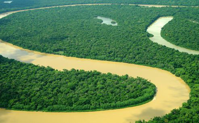 Hệ sinh thái Amazon có nguy cơ sụp đổ